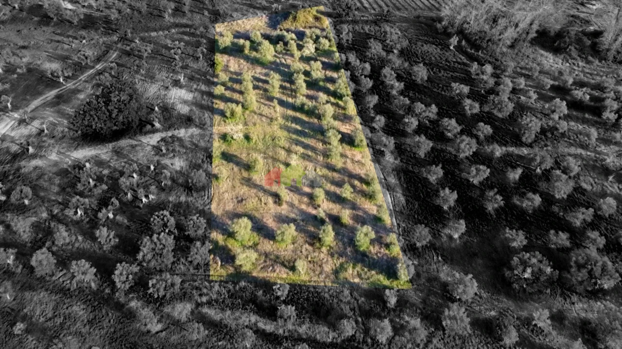 Terreno para Venda em Vila Alva Foto 14