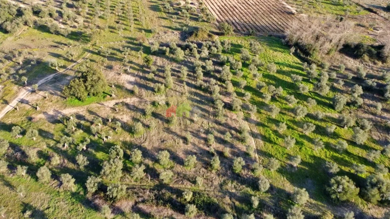 Terreno para Venda em Vila Alva Foto 16
