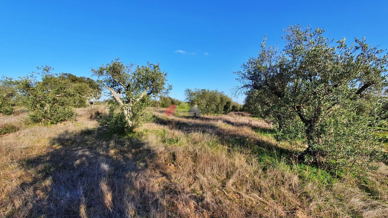 Terreno para Venda em Vila Alva Foto 1