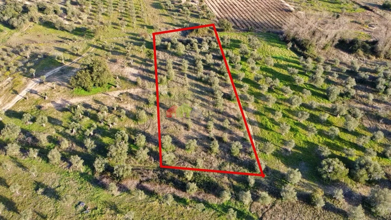 Terreno para Venda em Vila Alva Foto 15