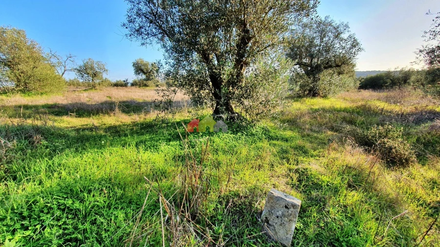 Terreno para Venda em Vila Alva Foto 6