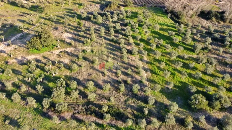 Terreno para Venda em Vila Alva Foto 18