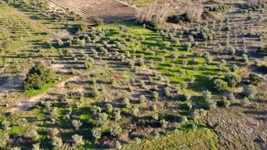 Terreno para Venda em Vila Alva Foto 21