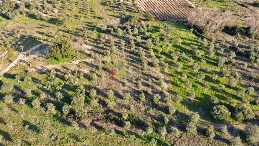 Terreno para Venda em Vila Alva Foto 13