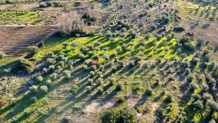 Terreno para Venda em Vila Alva Foto 24