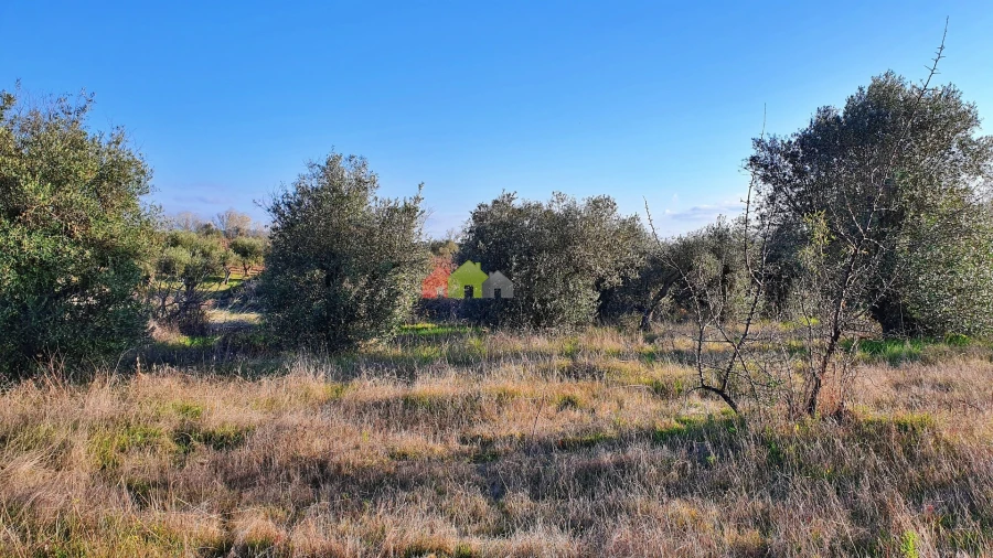 Terreno para Venda em Vila Alva Foto 9