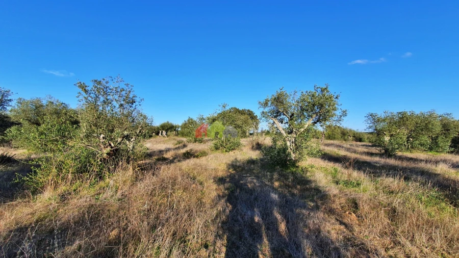 Terreno para Venda em Vila Alva Foto 3