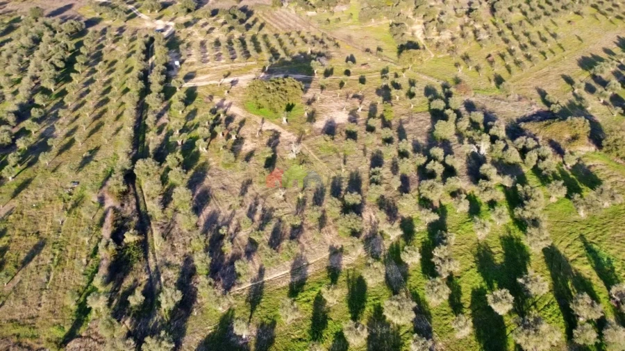 Terreno para Venda em Vila Alva Foto 23