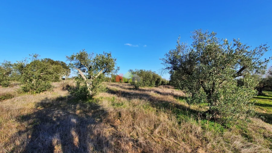 Terreno para Venda em Vila Alva Foto 11