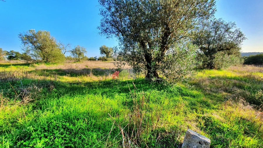 Terreno para Venda em Vila Alva Foto 7