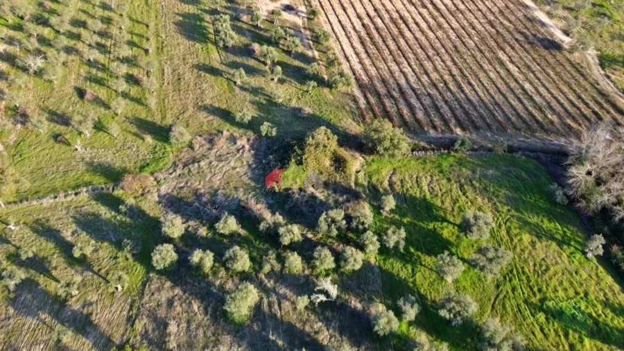 Terreno para Venda em Vila Alva Foto 17