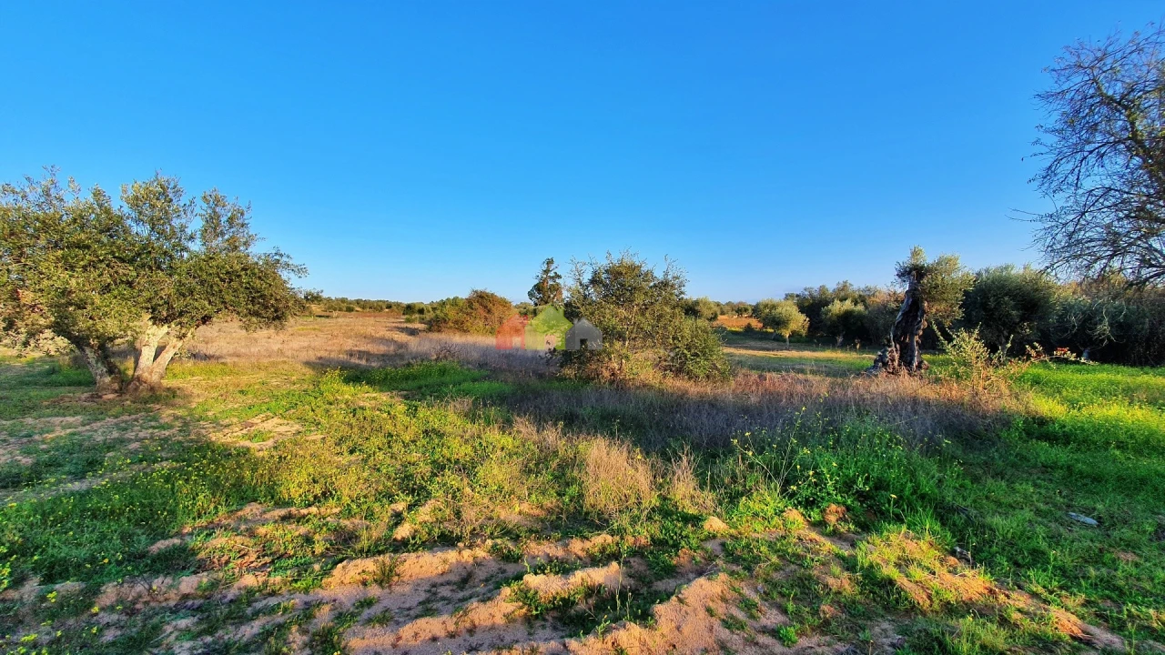 Terreno para Venda em Vila Alva Foto 2