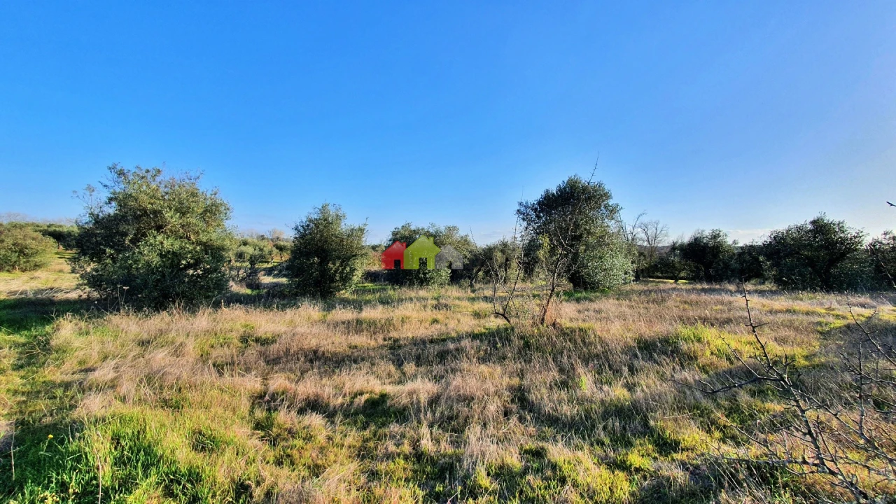 Terreno para Venda em Vila Alva Foto 12
