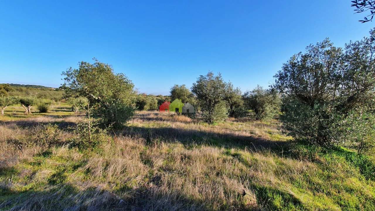 Terreno para Venda em Vila Alva Foto 10