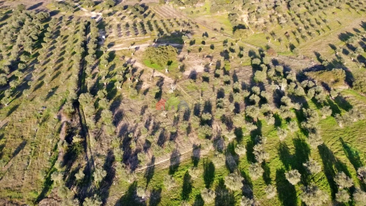 Terreno para Venda em Vila Alva Foto 23