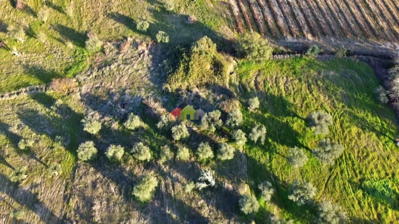 Terreno para Venda em Vila Alva Foto 20