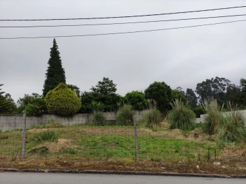 Terreno para Venda em Paços de Brandão