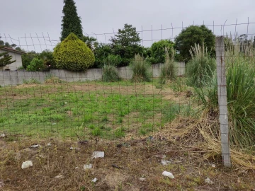 Terreno para Venda em Paços de Brandão