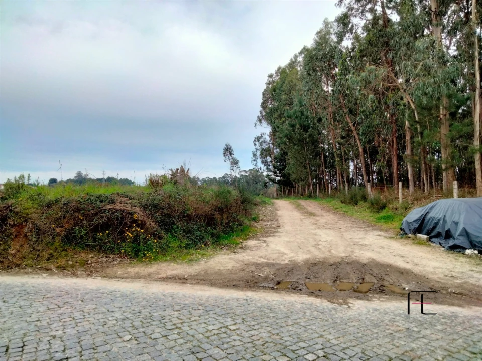 Terreno para Venda em Guilhabreu Foto 2