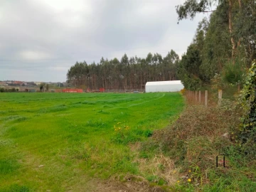 Terreno para Venda em Guilhabreu