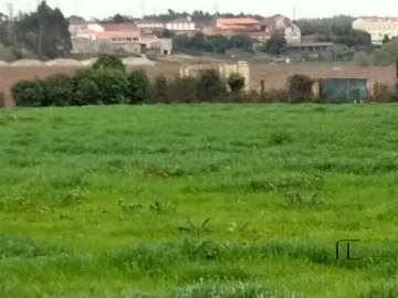 Terreno para Venda em Guilhabreu