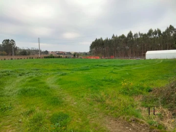 Terreno para Venda em Guilhabreu