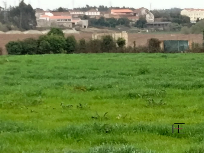 Terreno para Venda em Guilhabreu Foto 7