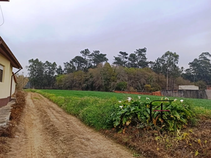 Terreno Agricola ou Rústico para Venda em Valega Foto 1