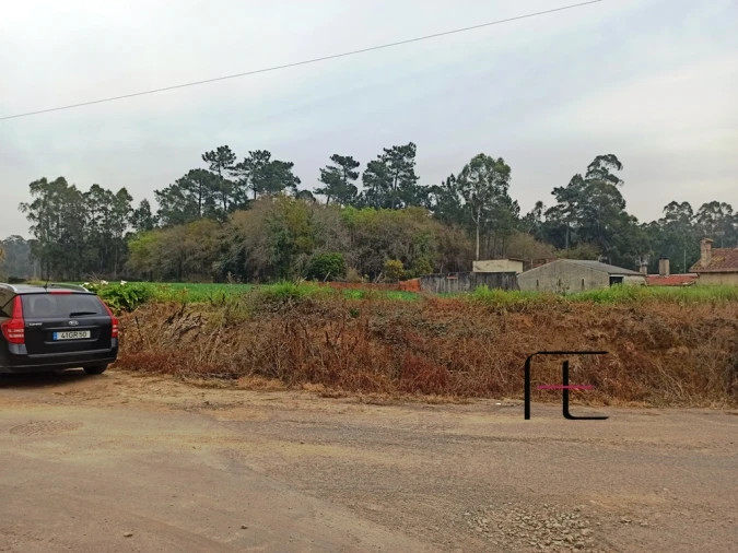 Terreno Agricola ou Rústico para Venda em Valega Foto 3