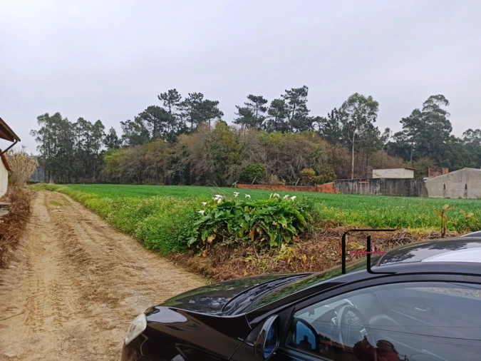 Terreno Agricola ou Rústico para Venda em Valega Foto 2