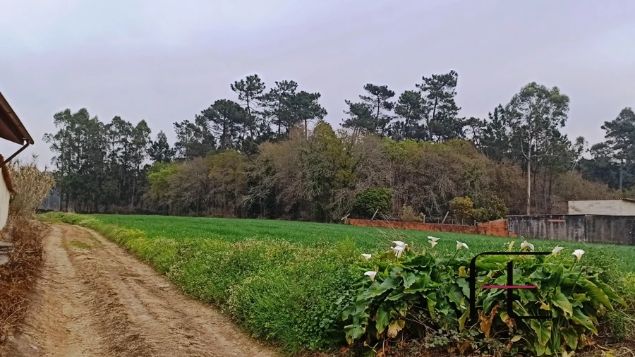 Terreno Agricola ou Rústico para Venda em Valega