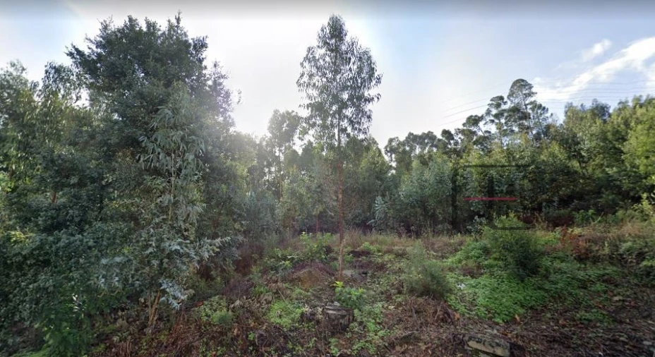 Terreno Agricola ou Rústico para Venda em Sandim, Olival, Lever e Crestuma Foto 9