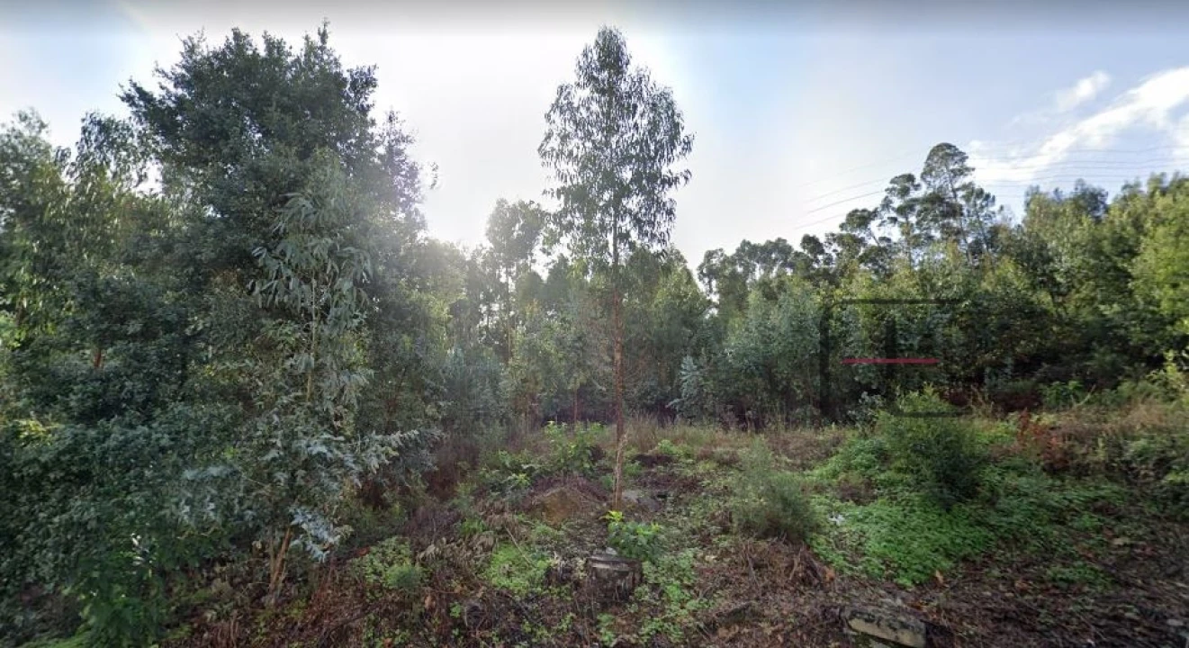 Terreno Agricola ou Rústico para Venda em Sandim, Olival, Lever e Crestuma Foto 9