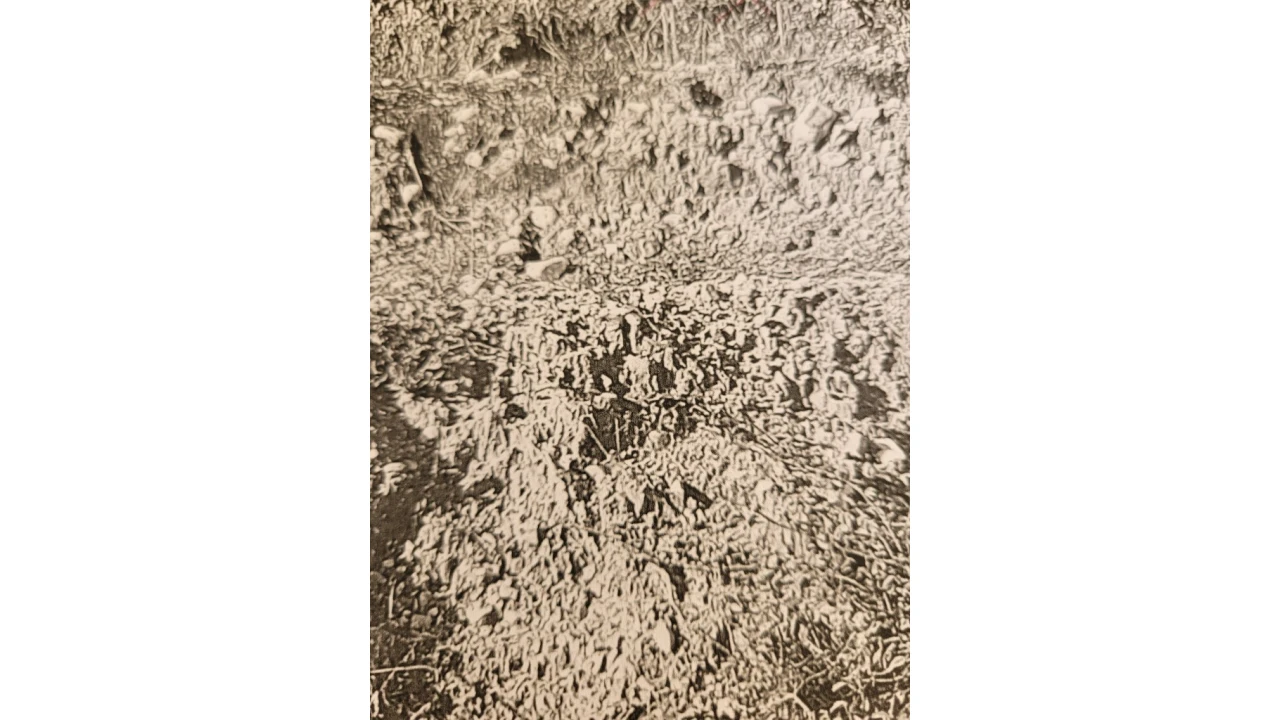 Terreno para Venda em Nossa Senhora da Piedade Foto 4