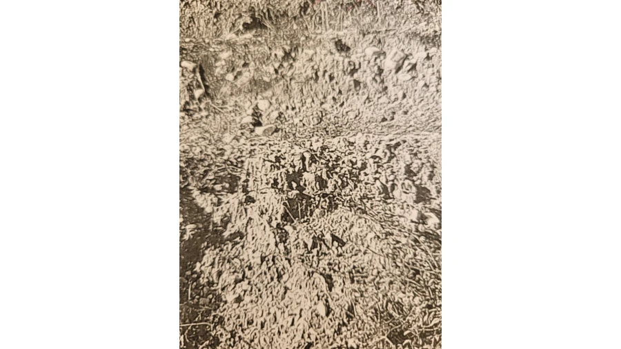 Terreno para Venda em Nossa Senhora da Piedade Foto 4
