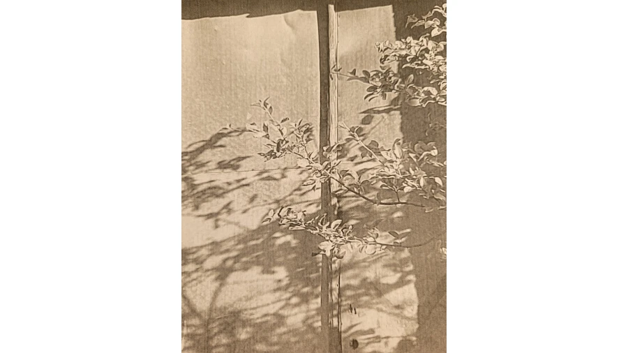 Terreno para Venda em Nossa Senhora da Piedade Foto 5