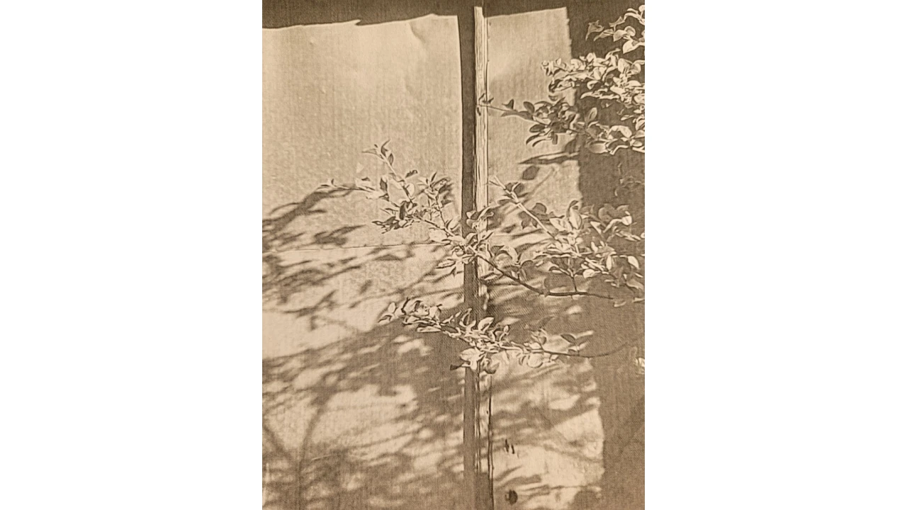 Terreno para Venda em Nossa Senhora da Piedade Foto 5