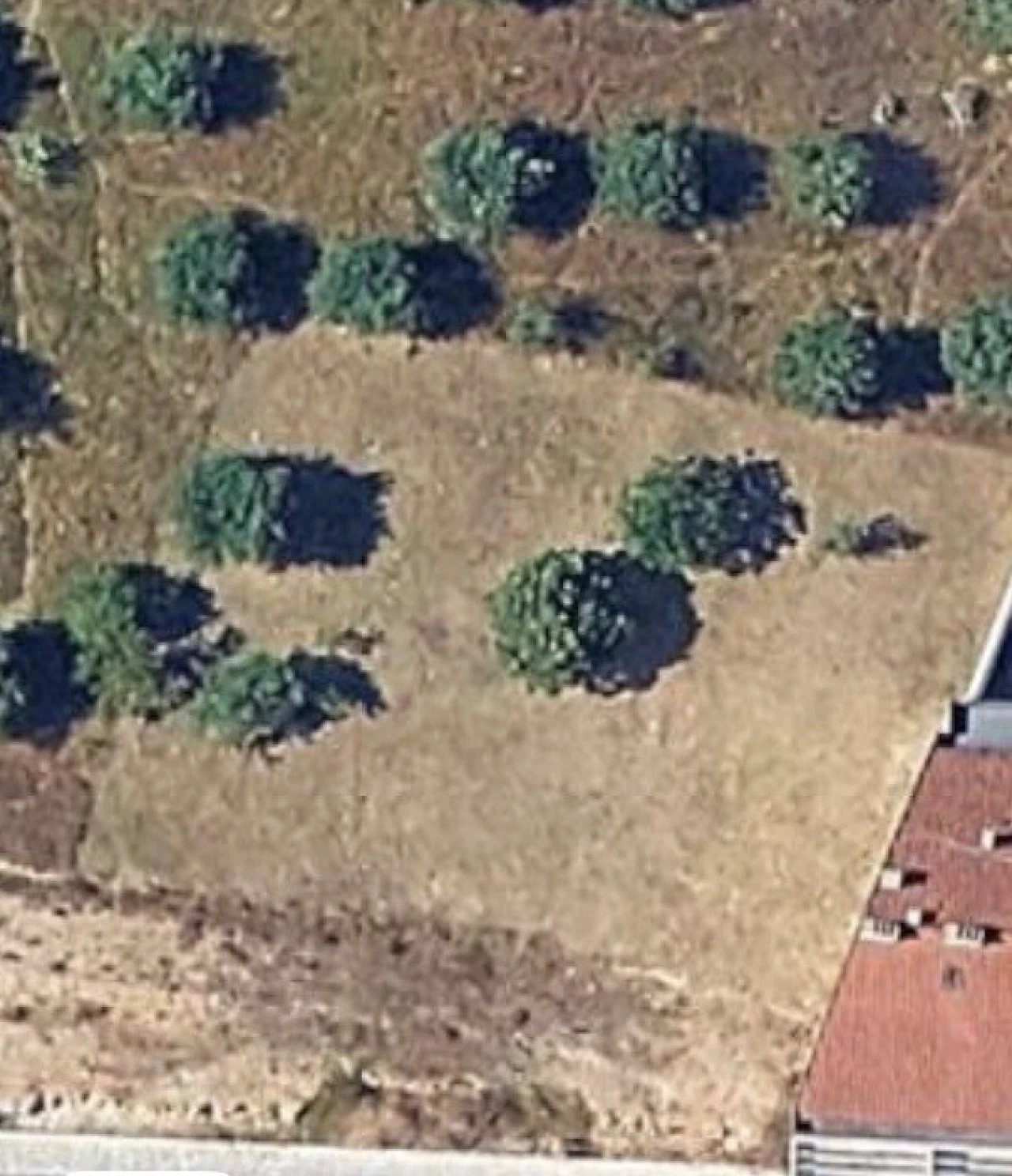 Terreno para Venda em Nossa Senhora da Piedade Foto 1