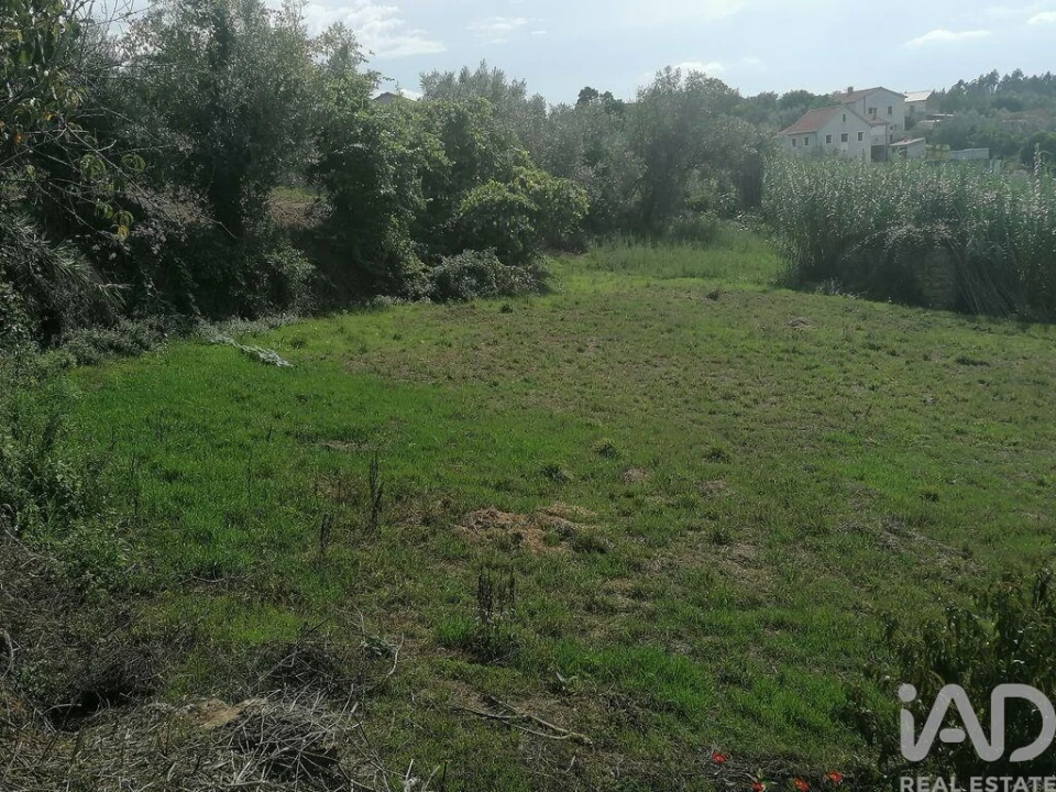 Moradia para Venda em Lamas Foto 18