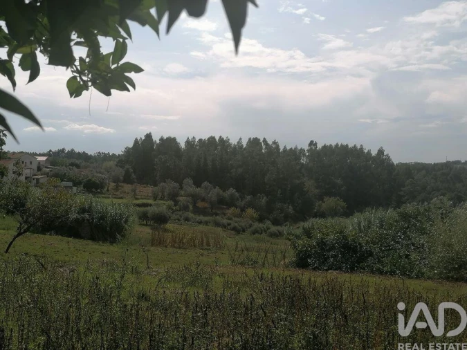 Moradia para Venda em Lamas Foto 20