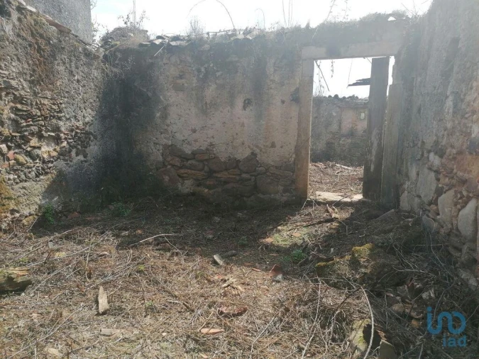 Moradia para Venda em Lamas Foto 5