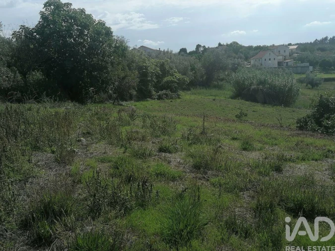 Moradia para Venda em Lamas Foto 28