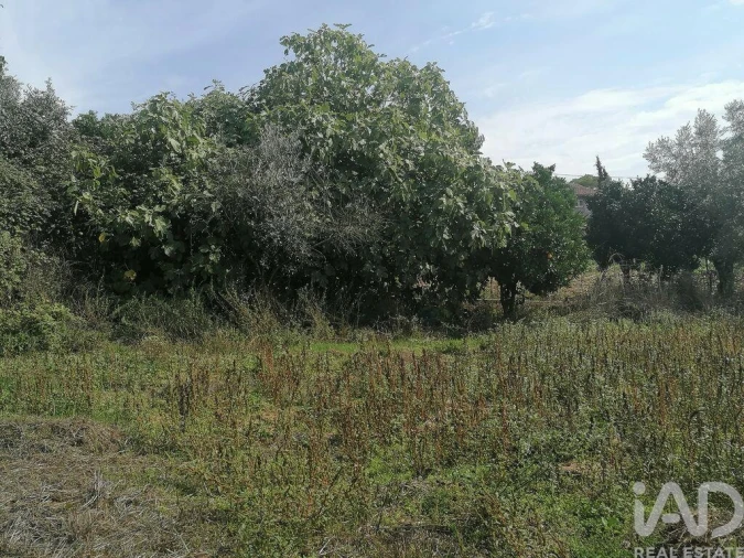 Moradia para Venda em Lamas Foto 22