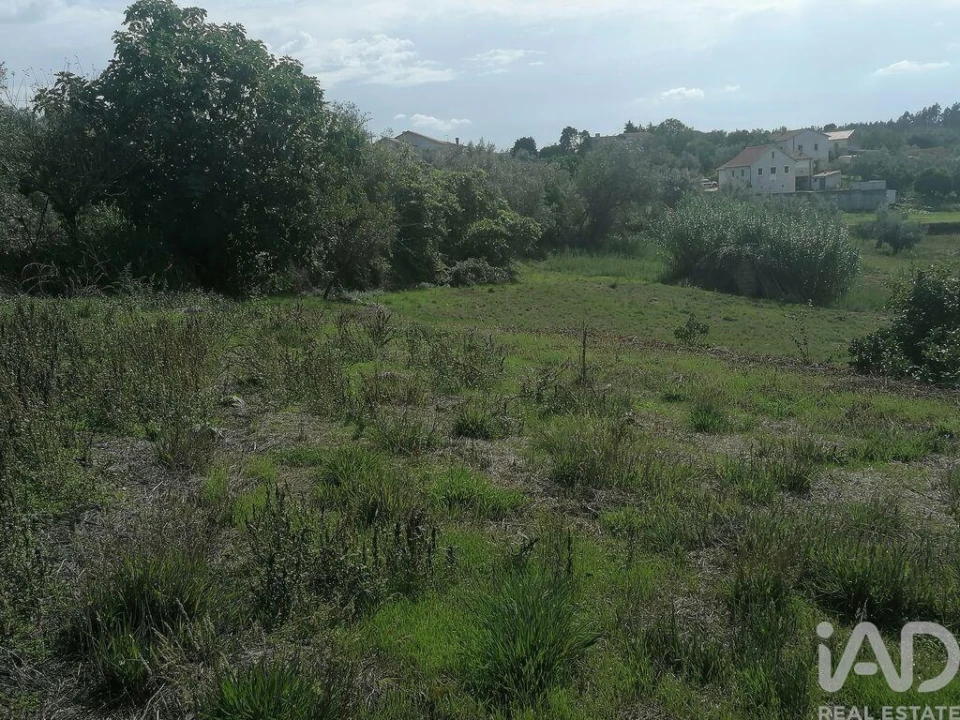 Moradia para Venda em Lamas Foto 28