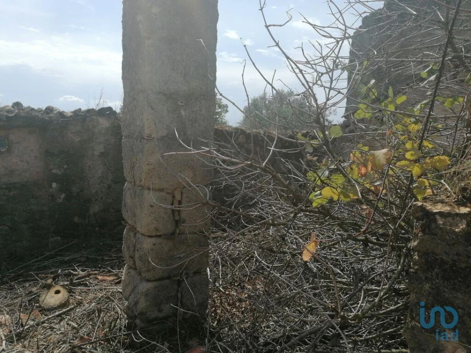 Moradia para Venda em Lamas Foto 8