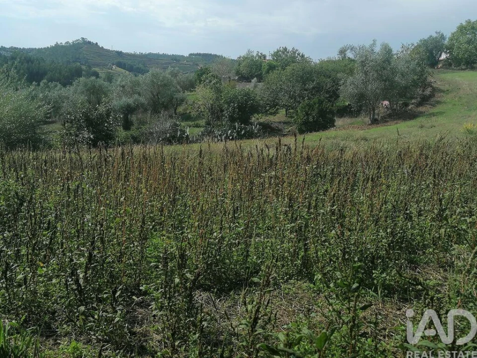 Moradia para Venda em Lamas Foto 21