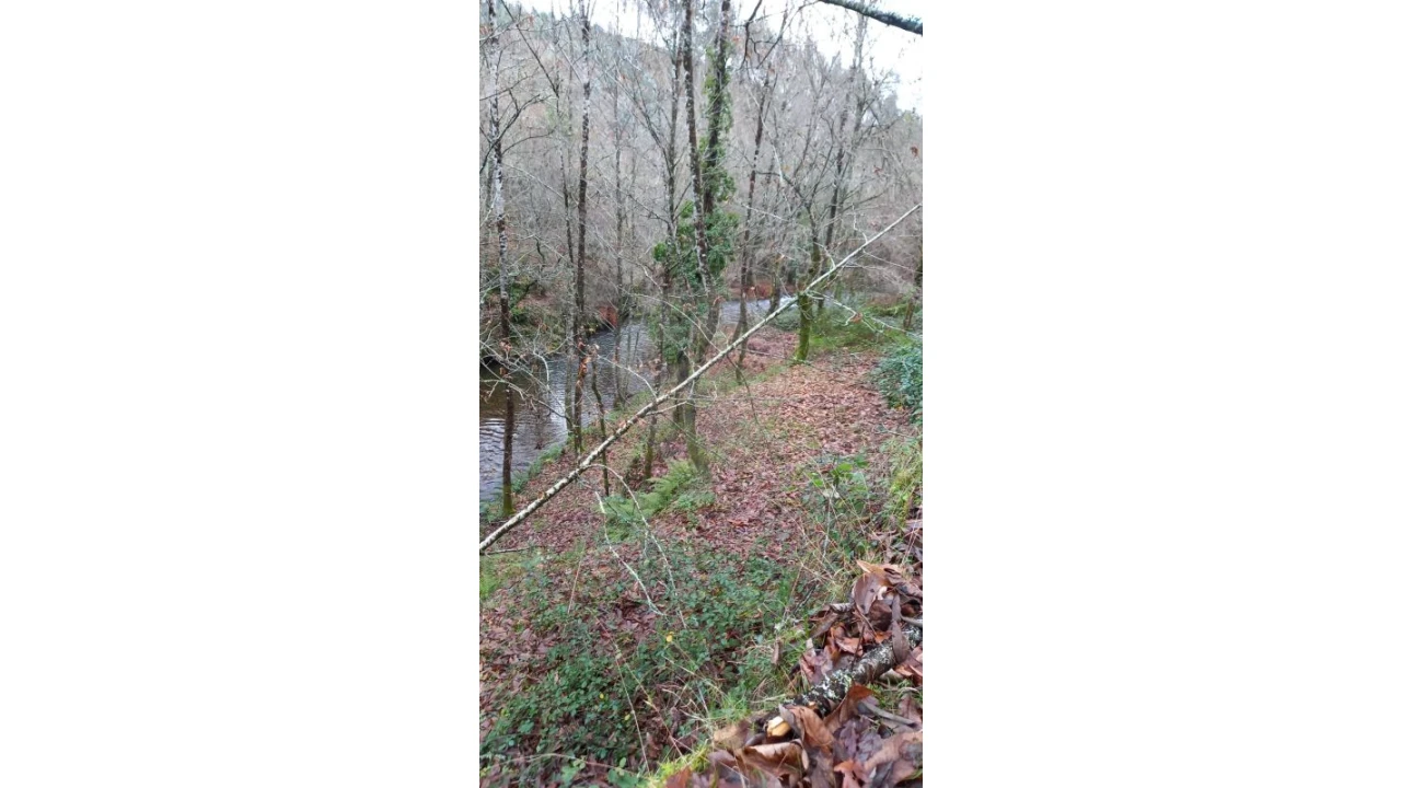 Moradia T2 para Venda em Nespereira Foto 7