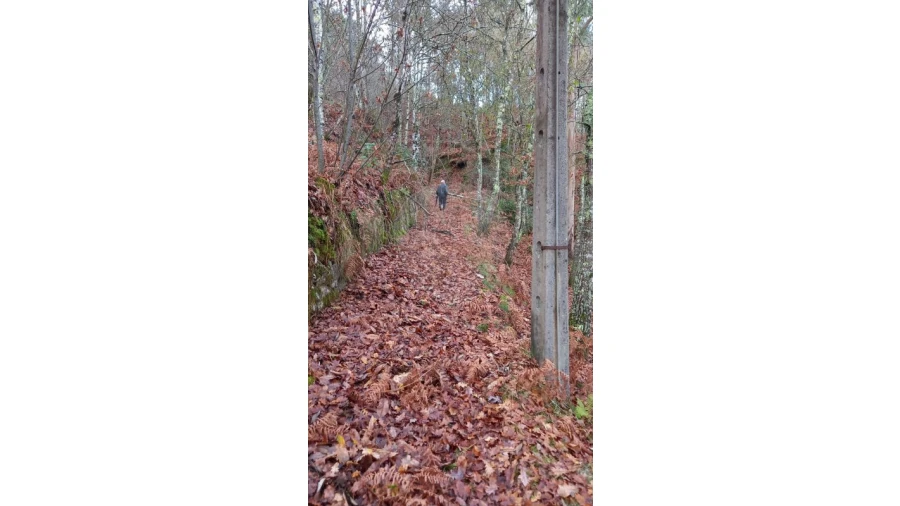 Moradia T2 para Venda em Nespereira Foto 3