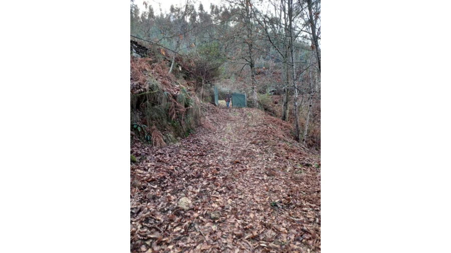 Moradia T2 para Venda em Nespereira Foto 8