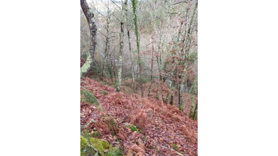 Moradia T2 para Venda em Nespereira Foto 6